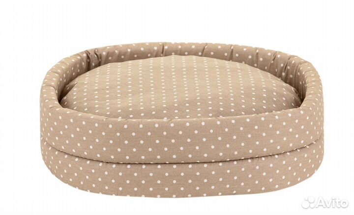 Котик ищет себе новый дом,в добрые руки.Бесплатно