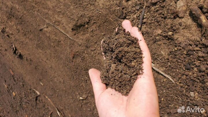 Растительный грунт