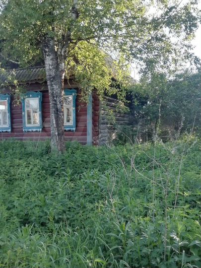 Участок 25 сот. (ИЖС)