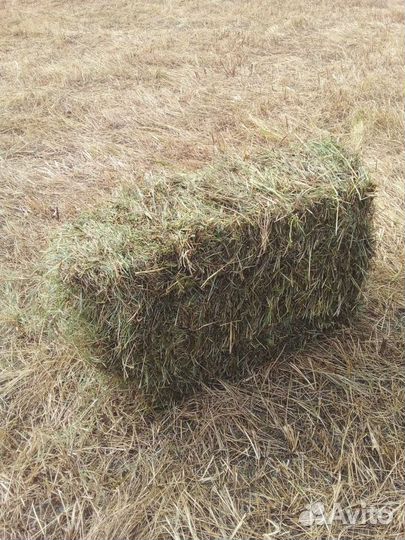 Сено в тюках