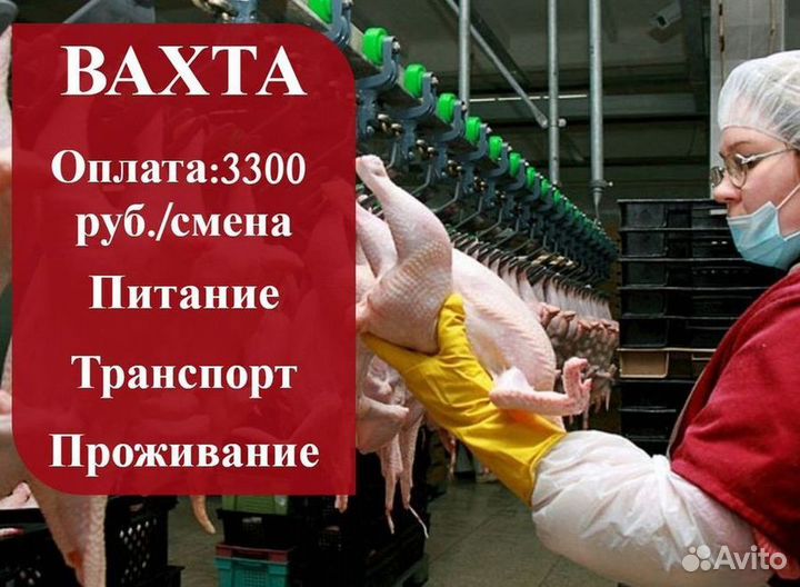 Обработчик птицы. Вахта г. Валуйки (все включено)