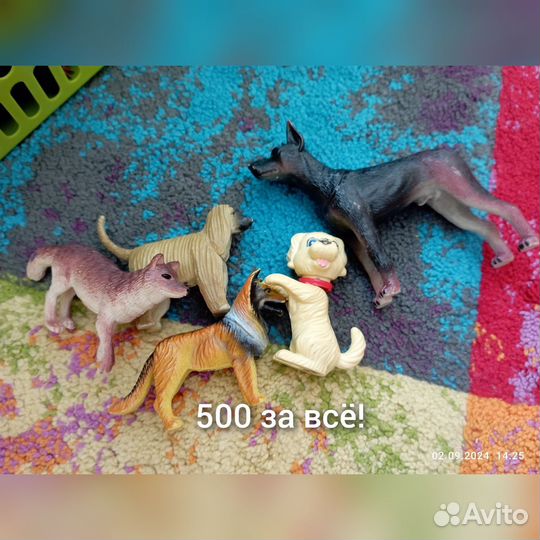 Продам зверей