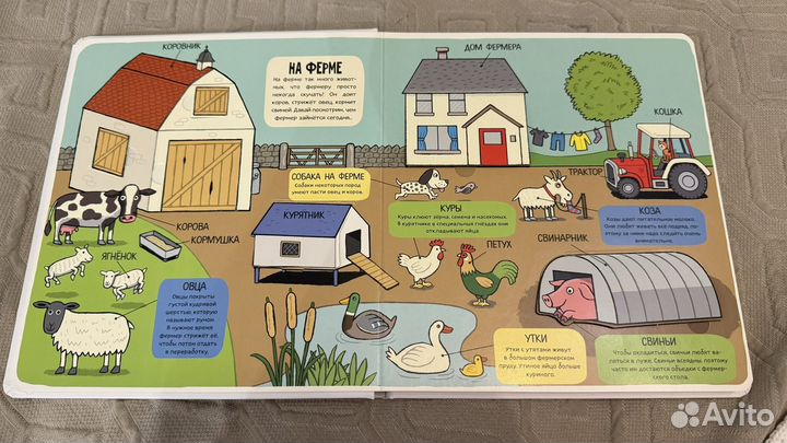 Детские книги Clever серия маленькие исследователи