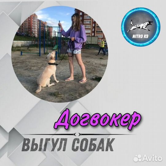 Выгул собак
