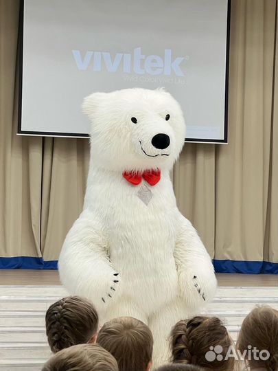 Поздравление от Белого медведя; Бурого мишки