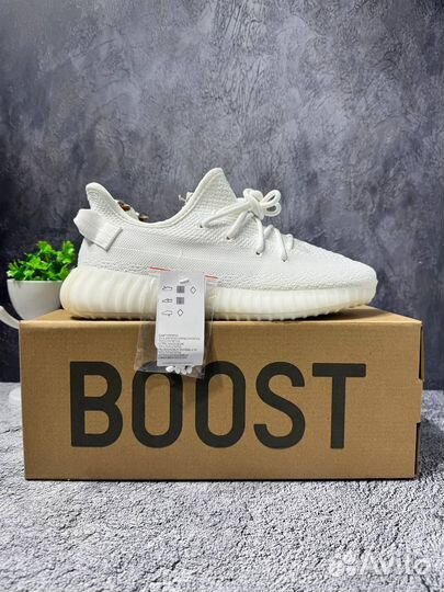 Кроссовки мужские Adidas Yeezy 350