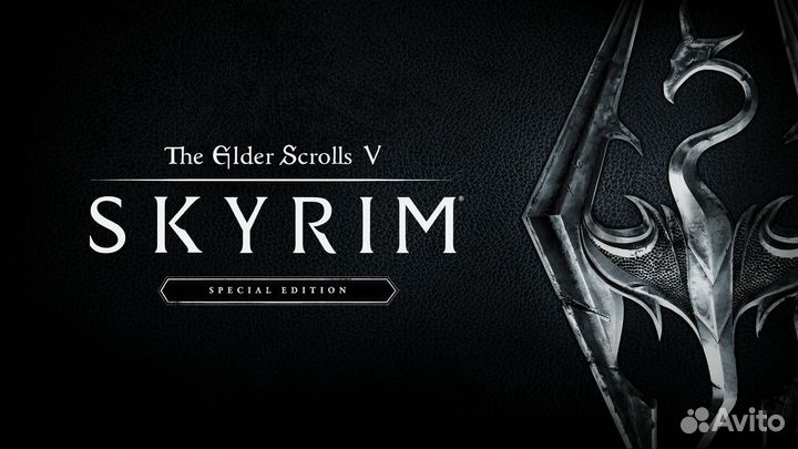 Skyrim special edition PS4 PS5