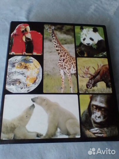 Энциклопедия перекидная