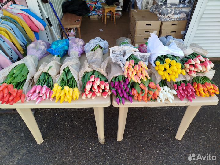 Тюльпаны к 8 марта