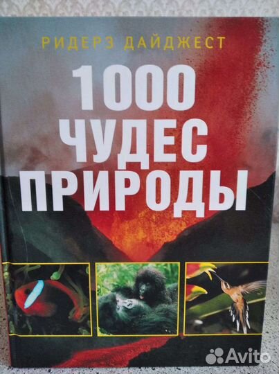 Книги новые