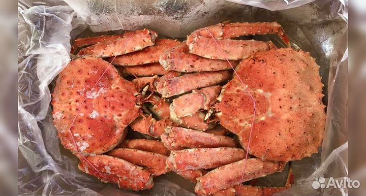 Краб Камчатский