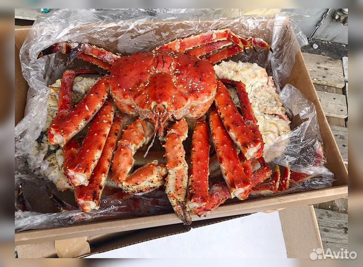 Краб Камчатский