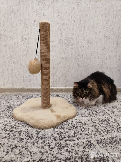 Когтеточка