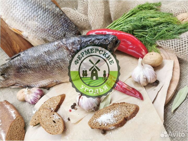 Рыба северная Язь Щука Щекур Мохтик Лещ Сырок