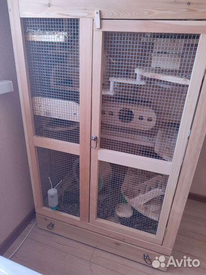 Клетка дегу