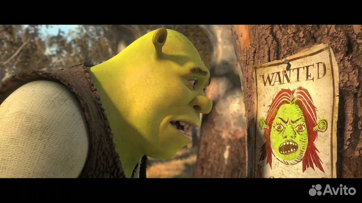 PS3 Shrek Forever After б/у