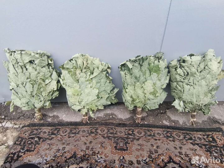 Дубовые веники для бани