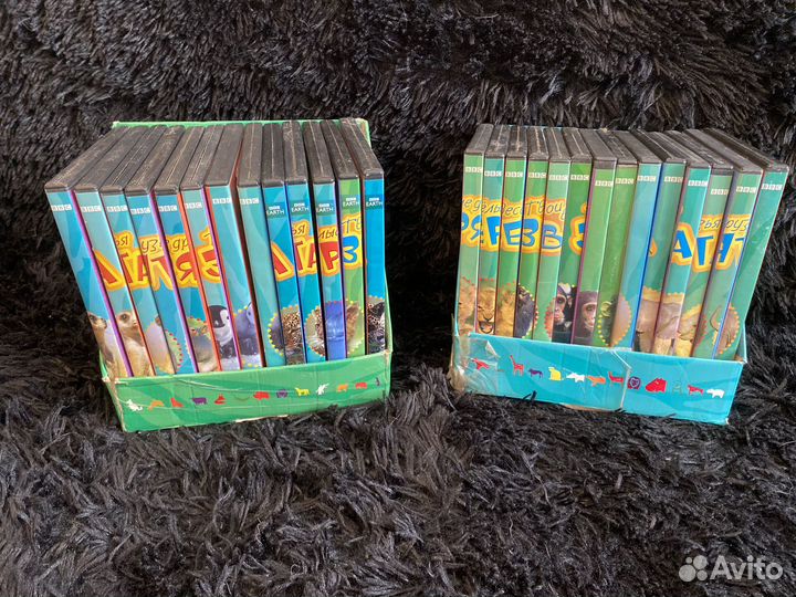 Коллекция Твои веселые друзья зверята dvd журналы