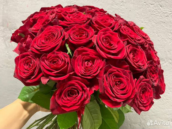 21 Роза Цветы Букеты 15 25 35 45 Розы Доставка