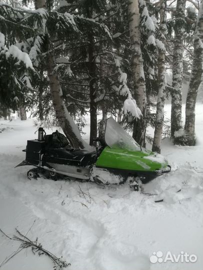 Рысь 500+