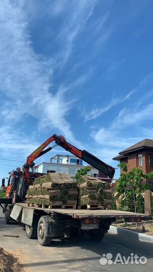 Быстрое озеленение участка рулонным газоном