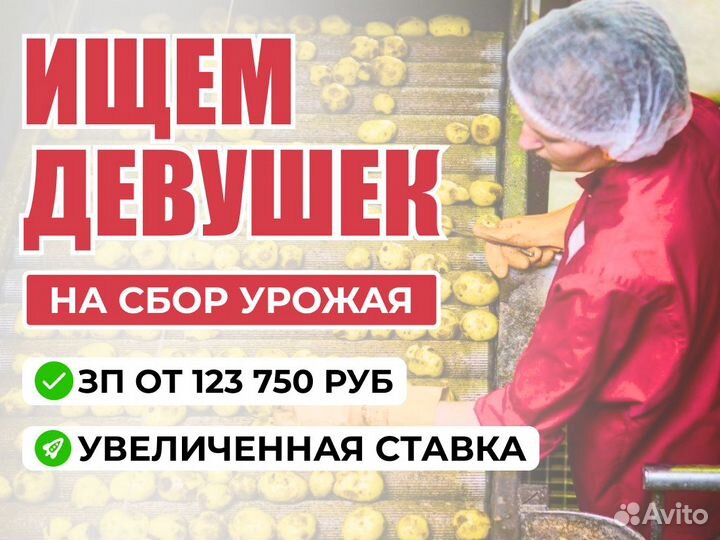 Работа для студентов. Для девушек