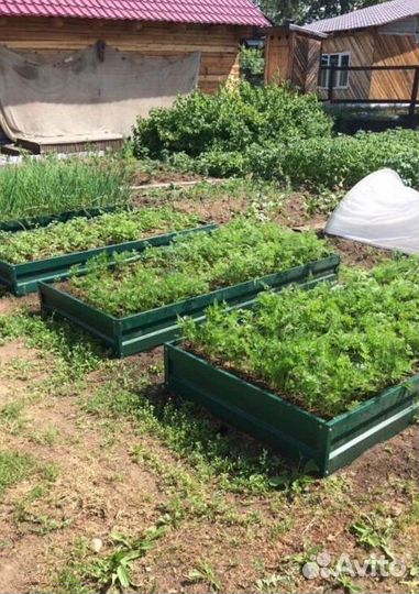 Грядка темно-зеленая 1м х 4м х 22см