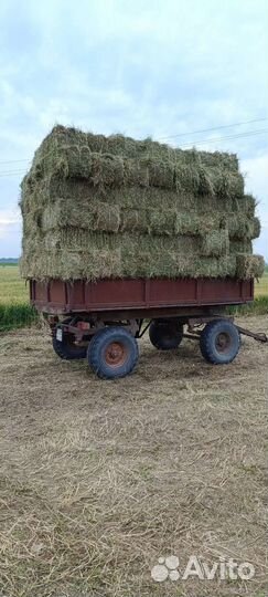 Сено
