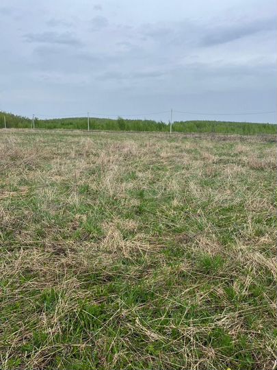 Участок 13,6 сот. (ИЖС)