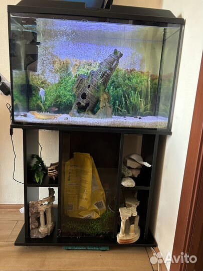 Аквариум
