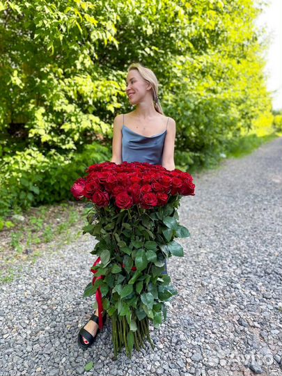 Метровые розы