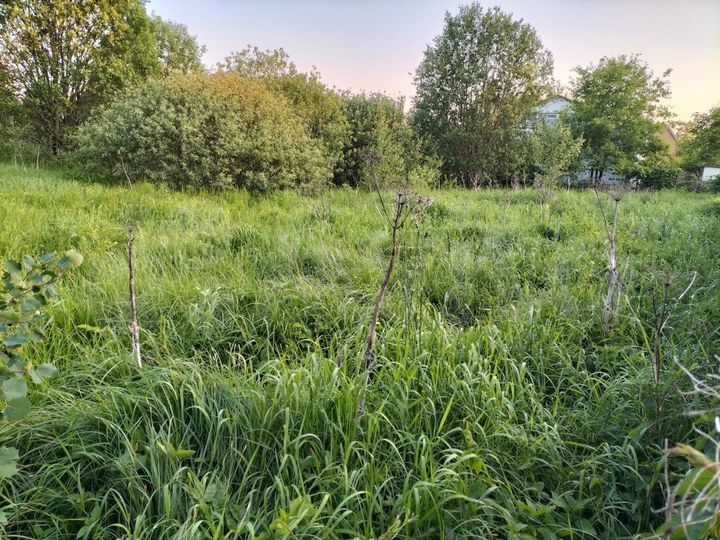 Участок 8,2 сот. (СНТ, ДНП)