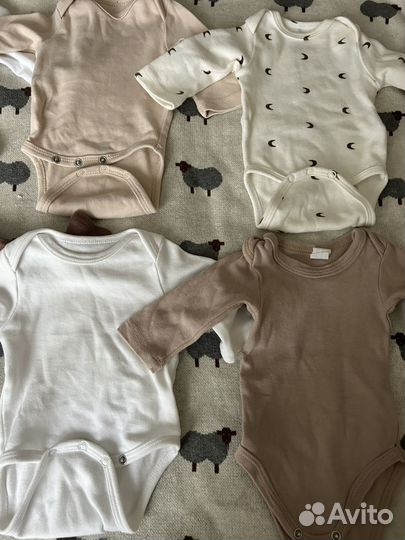 Боди 56 размер