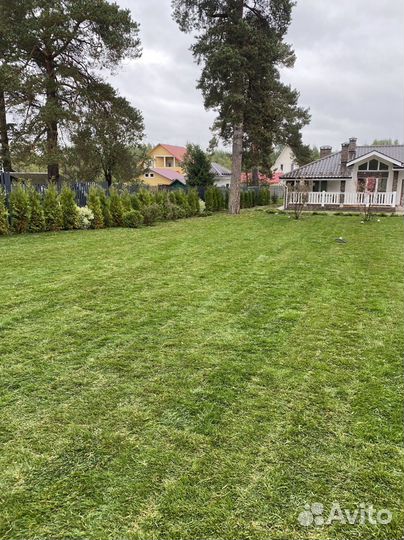 Рулонный газон