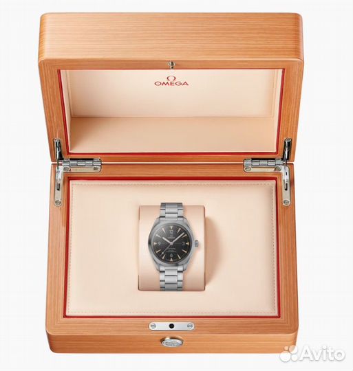 Часы Omega Seamaster Railmaster 40 mm