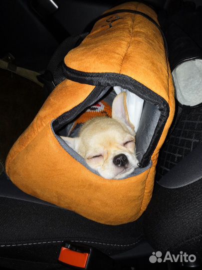 Сумка переноска для маленьких собак