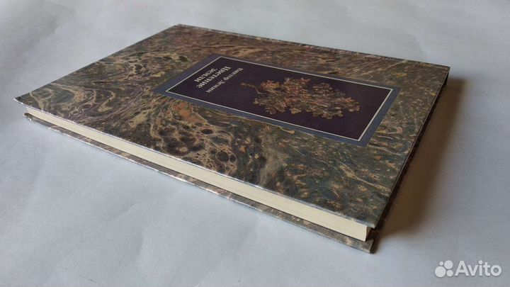 Книга о литовских фотографах