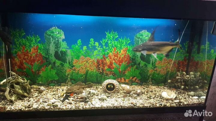 Аквариум 500 л с тумбой