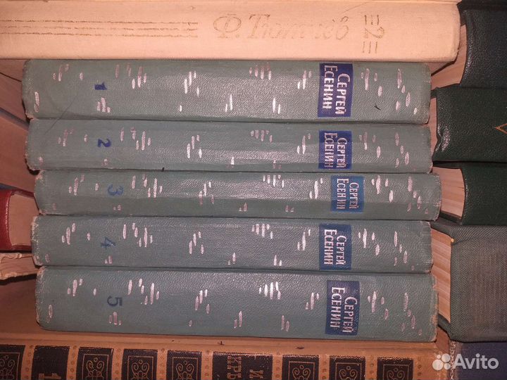 Лермонтов,тютчев,есенин,крылов,толстой,горький итд