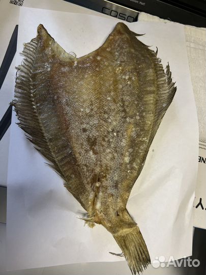 Камбала-ерш жирная Мурманская от 1кг