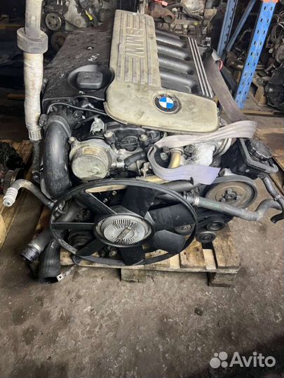 Двигатель BMW 5 E39 (1995 - 2004) 2.5 7783127a
