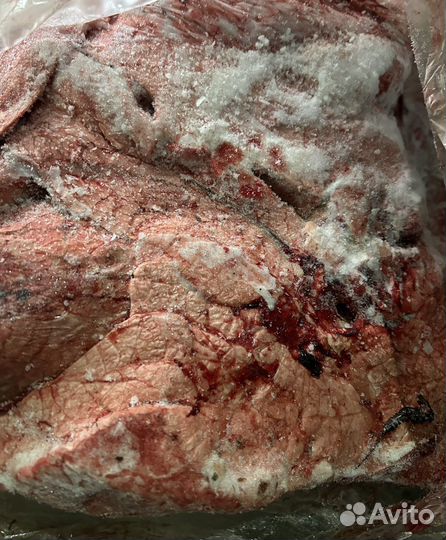 Мясо и субпродукты для собак оптом