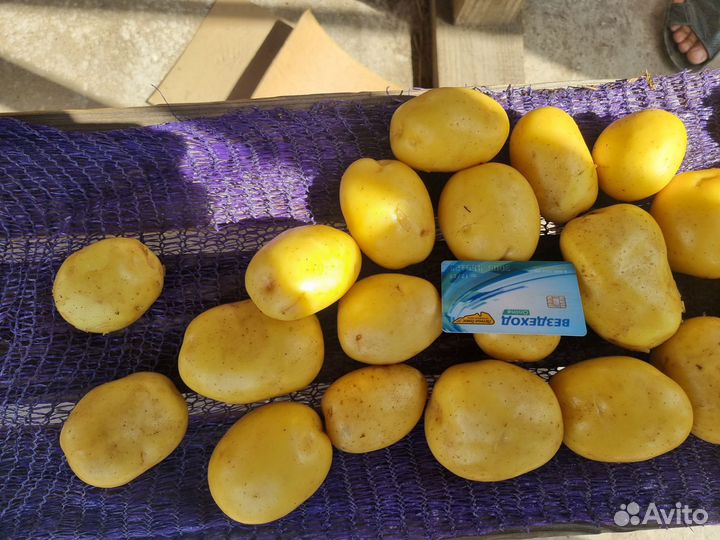 Картофель для мойки