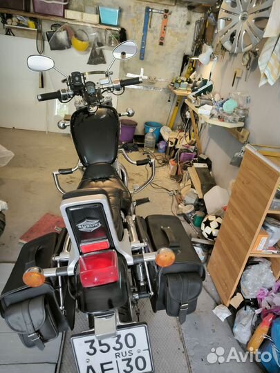 Suzuki vs-800 intruder