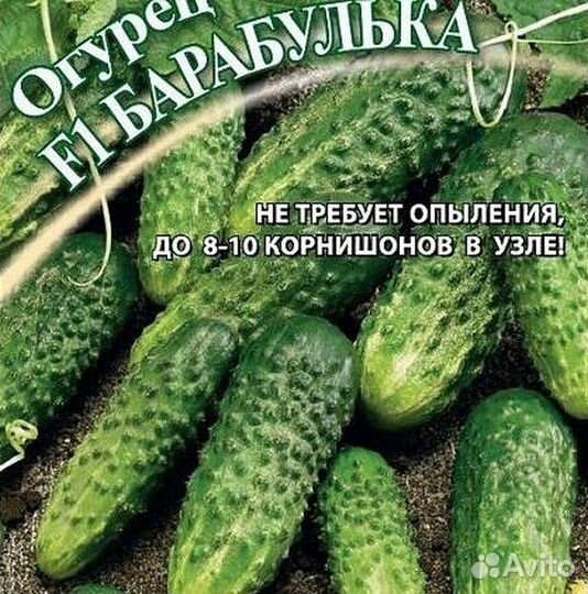 Огурцы-партенокарпики - 16 сортов по 10 семян