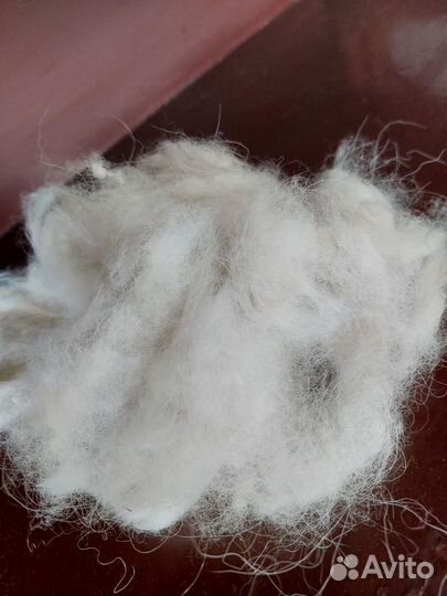 Собачья шерсть