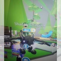 Shadow dragon roblox