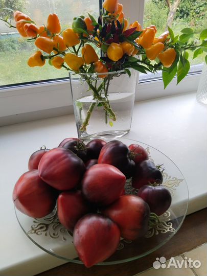 Семена сладкого перца мини