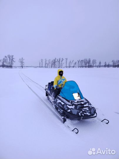 Снегоход Рысь 119