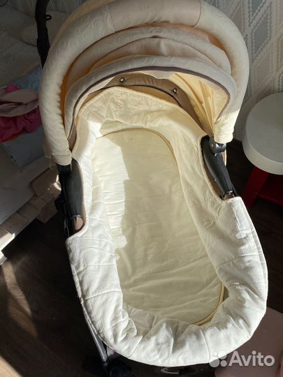 Коляска 2 в 1 adamex